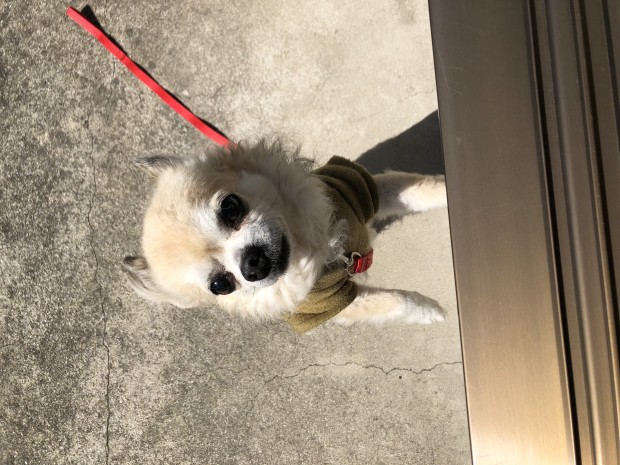 65F23F46-64C8-4D9A-ADCD-CE285CDF5AC9