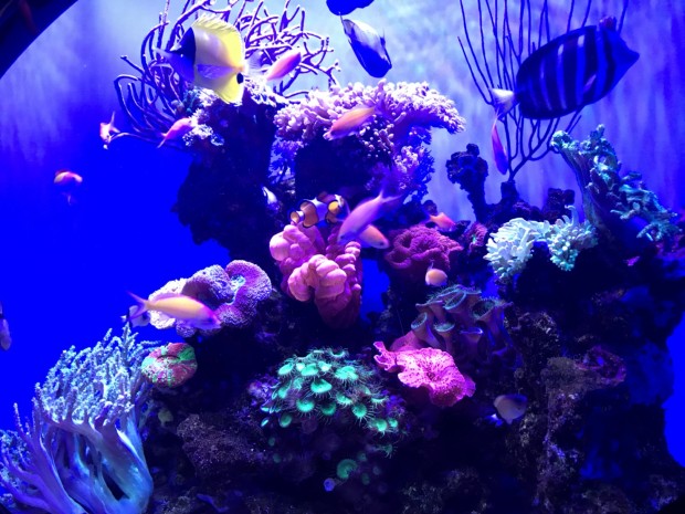 149734C1-BDF4-4A7C-B8ED-A854A2A4E2AA