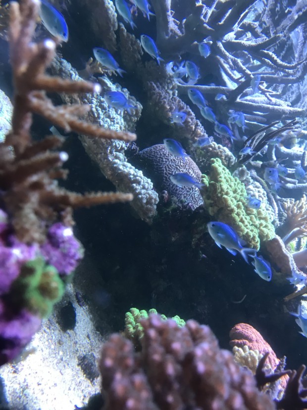 635220BD-0680-443F-B1B2-7CFC97F79EA5