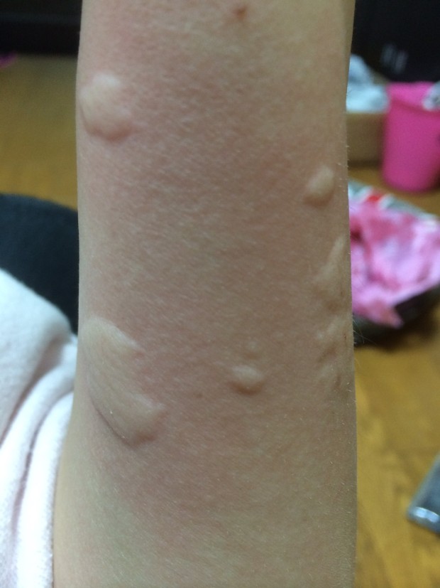 F404FF23-9E19-4C68-BED3-A8555653DCA4