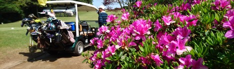 厄入りコンペ⛳