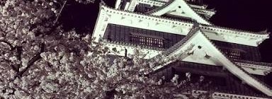 熊本城再び  美香