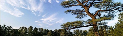 ⛳️古賀カントリー⛳️