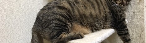 何年ぶりでしょうか！陽子です💖