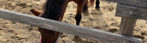 癒されに行ってきました♬︎♡