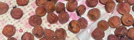 わが家の、、、