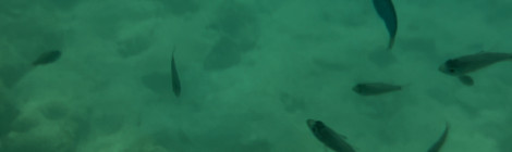 お久しぶりです☆凛です！